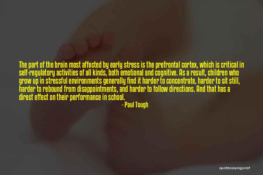 Prefrontal Cortex Quotes By Paul Tough