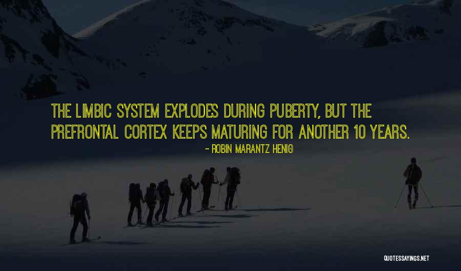Prefrontal Cortex Quotes By Robin Marantz Henig Prefrontal Cortex Quotes By Robin Marantz Henig