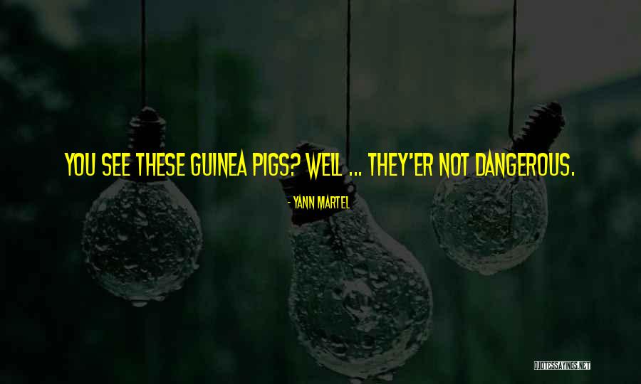Preg_match_all Quotes By Yann Martel Preg_match_all Quotes By Yann Martel