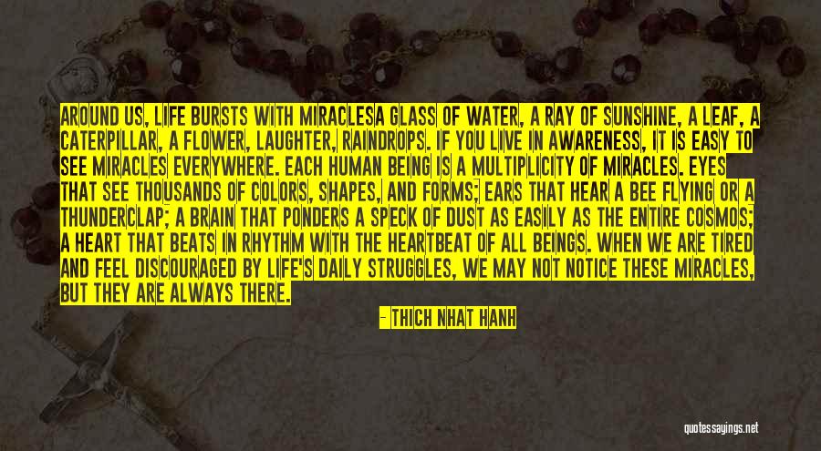 Pregio Van Quotes By Thich Nhat Hanh Pregio Van Quotes By Thich Nhat Hanh