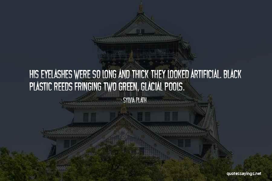 Pregler Germany Quotes By Sylvia Plath Pregler Germany Quotes By Sylvia Plath