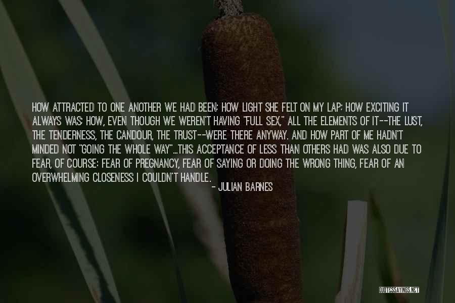 Pregnancy Is An Exciting Quotes By Julian Barnes Pregnancy Is An Exciting Quotes By Julian Barnes