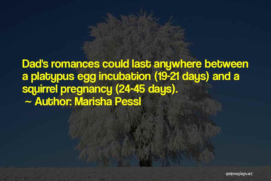 Pregnancy Quotes By Marisha Pessl