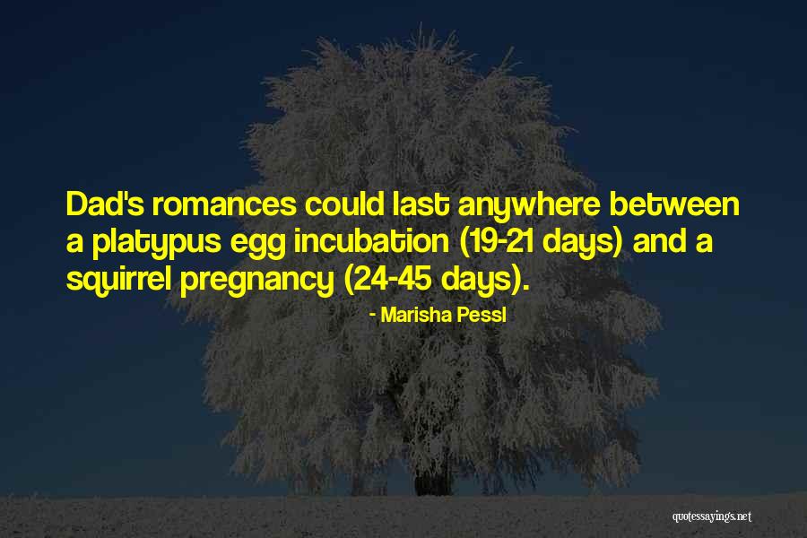 Pregnancy Quotes By Marisha Pessl Pregnancy Quotes By Marisha Pessl