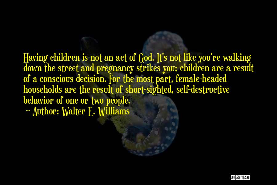 Pregnancy Quotes By Walter E. Williams