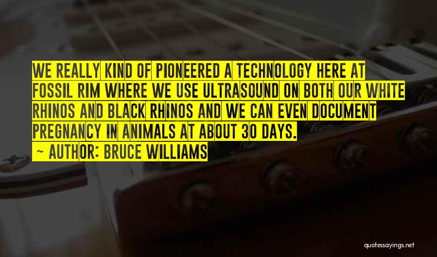 Pregnancy Ultrasound Quotes By Bruce Williams