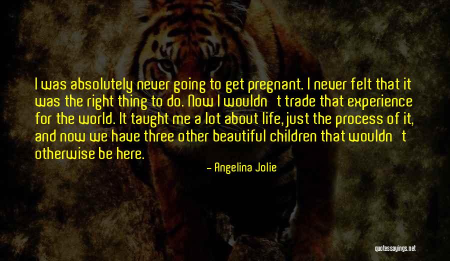 Pregnant Beautiful Quotes By Angelina Jolie Pregnant Beautiful Quotes By Angelina Jolie
