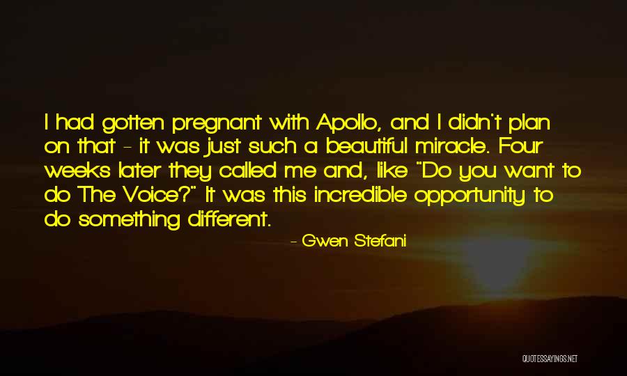 Pregnant Beautiful Quotes By Gwen Stefani Pregnant Beautiful Quotes By Gwen Stefani
