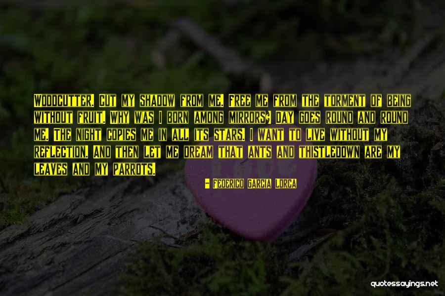 Pregui A Animal Quotes By Federico Garcia Lorca Pregui A Animal Quotes By Federico Garcia Lorca