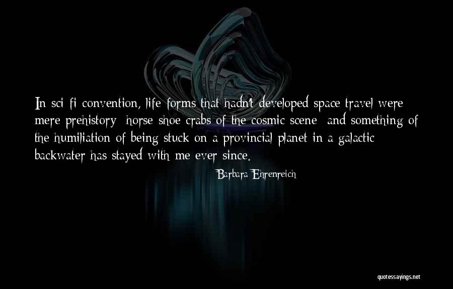 Prehistory Quotes By Barbara Ehrenreich