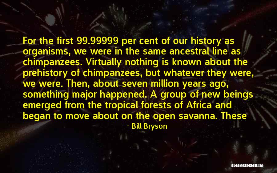 Prehistory Quotes By Bill Bryson