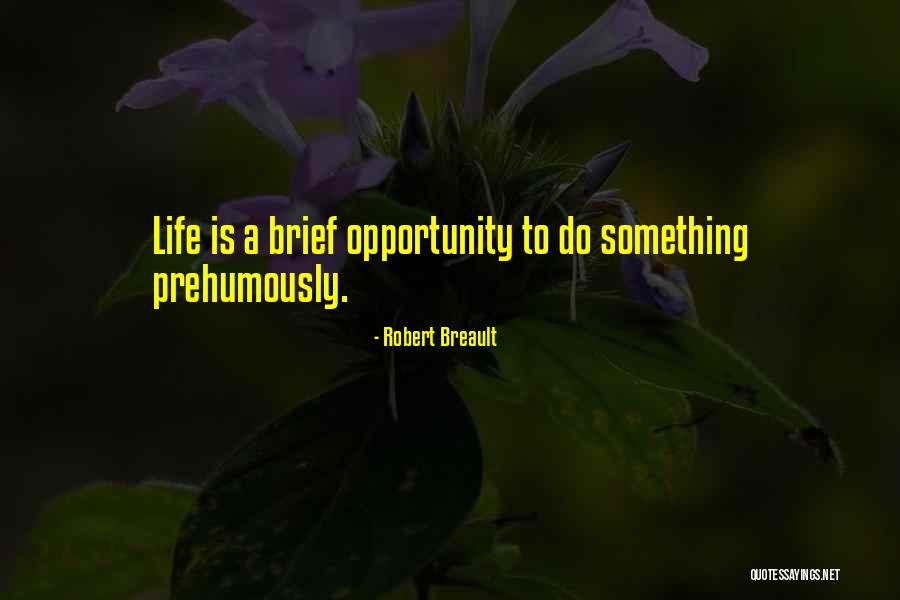 Prehumously Quotes By Robert Breault Prehumously Quotes By Robert Breault