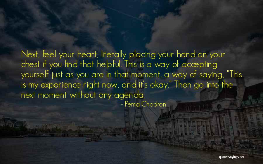 Prejuicio Definicion Quotes By Pema Chodron Prejuicio Definicion Quotes By Pema Chodron