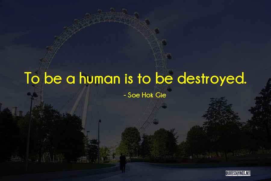 Prekajena Quotes By Soe Hok Gie Prekajena Quotes By Soe Hok Gie