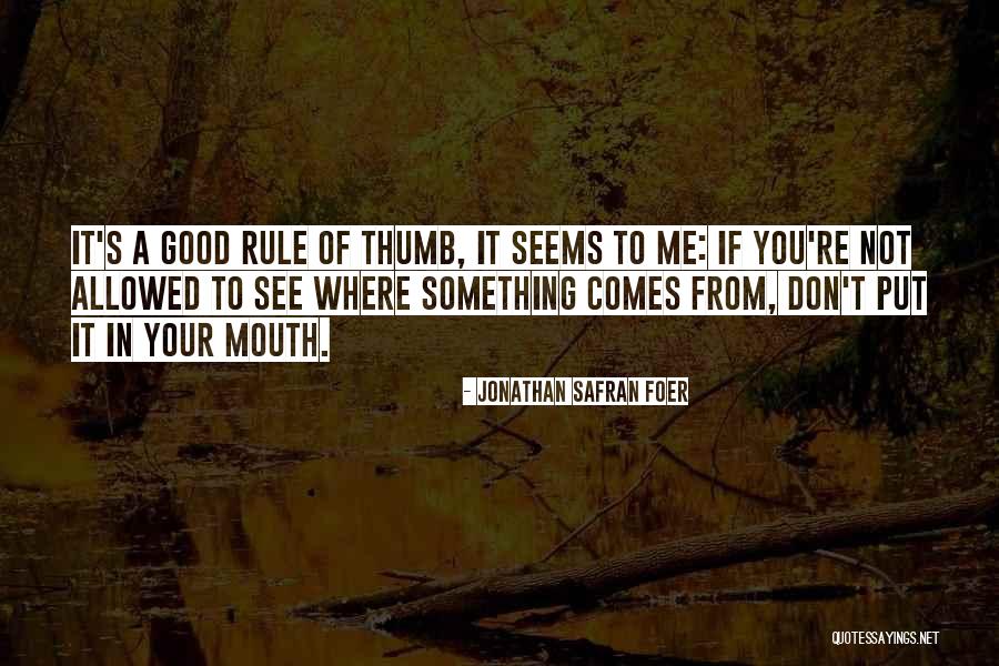Prematura Perdita Quotes By Jonathan Safran Foer Prematura Perdita Quotes By Jonathan Safran Foer