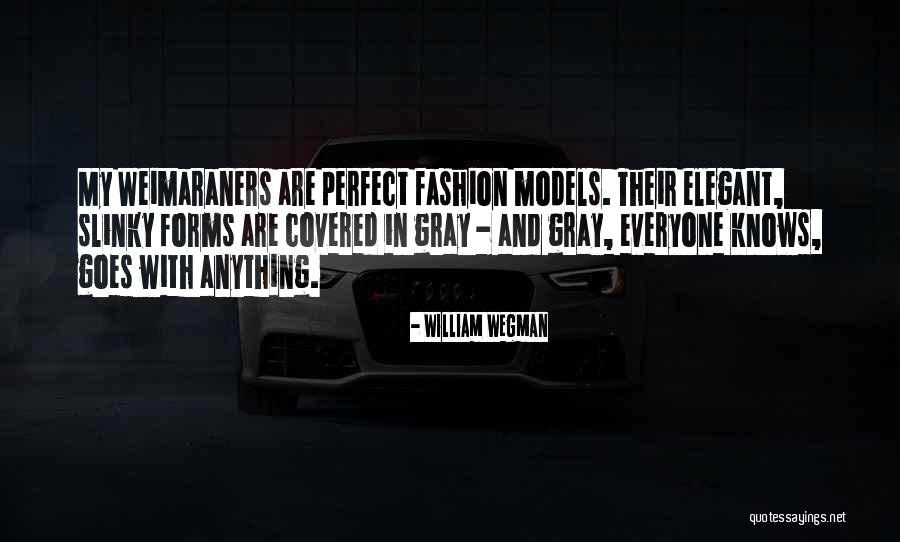 Premeco Quotes By William Wegman Premeco Quotes By William Wegman