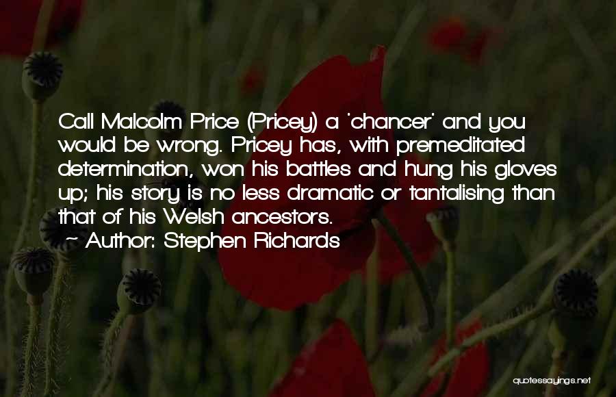 Premeditated Quotes By Stephen Richards