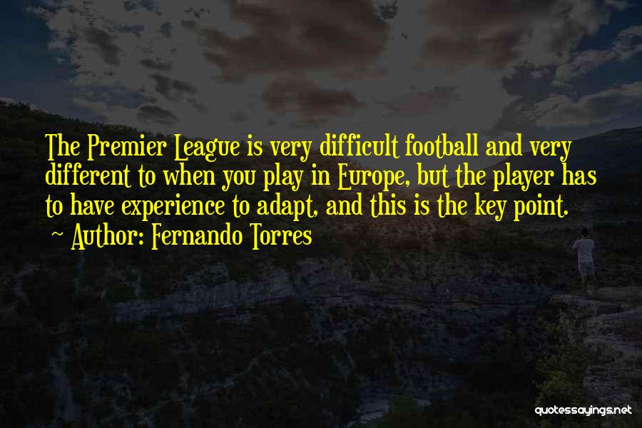 Premier League Quotes By Fernando Torres