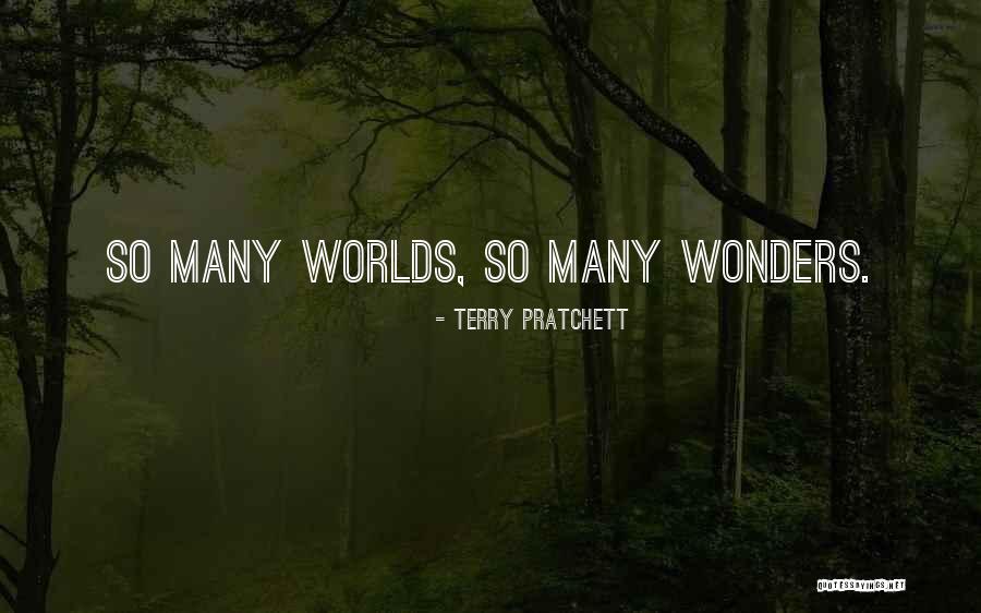 Premila Johnson Quotes By Terry Pratchett