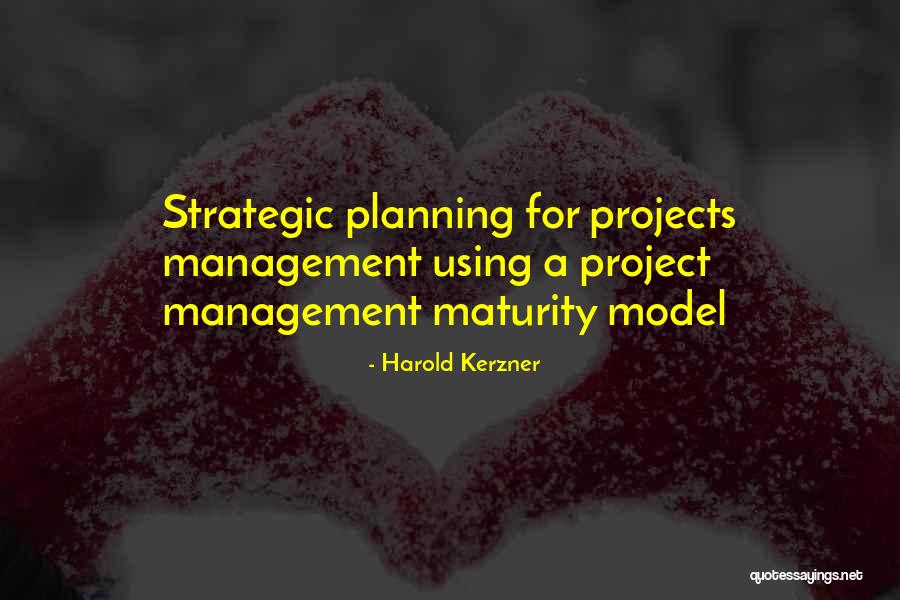 Premilla Nadasen Quotes By Harold Kerzner Premilla Nadasen Quotes By Harold Kerzner