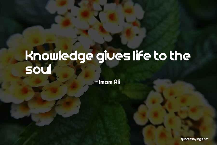 Premisa Significado Quotes By Imam Ali Premisa Significado Quotes By Imam Ali