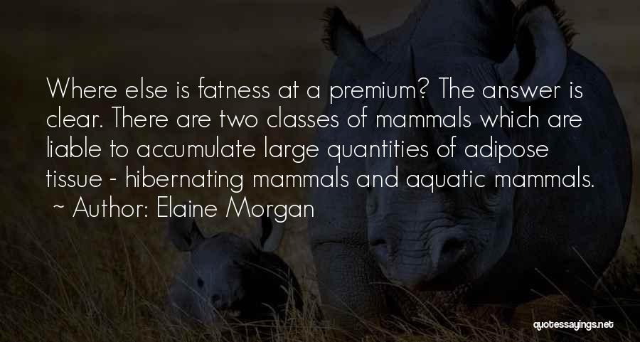 Premium Quotes By Elaine Morgan