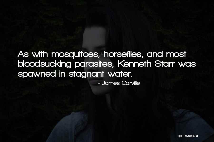 Premonitions That Came Quotes By James Carville Premonitions That Came Quotes By James Carville