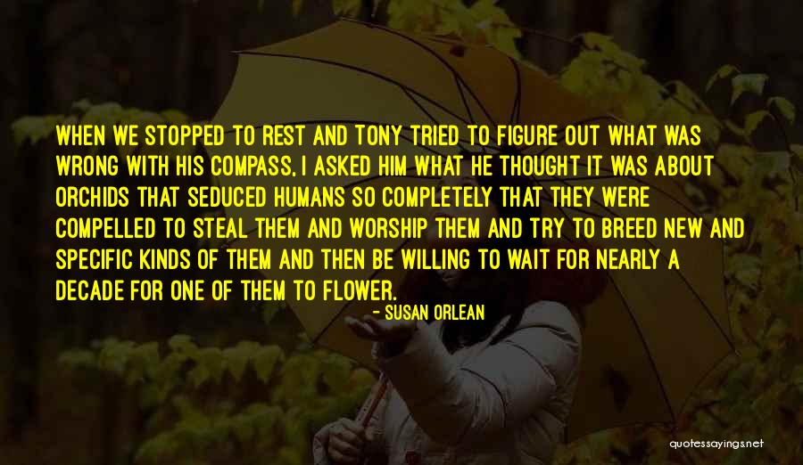 Premonitions That Came Quotes By Susan Orlean Premonitions That Came Quotes By Susan Orlean