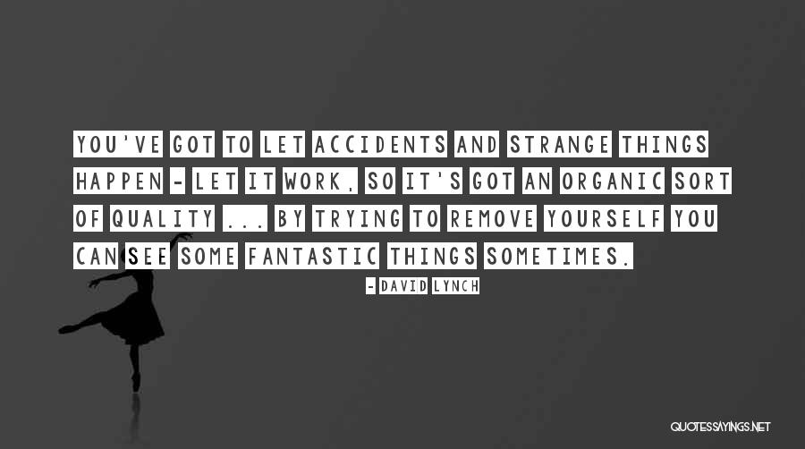 Preneet Holdings Quotes By David Lynch Preneet Holdings Quotes By David Lynch