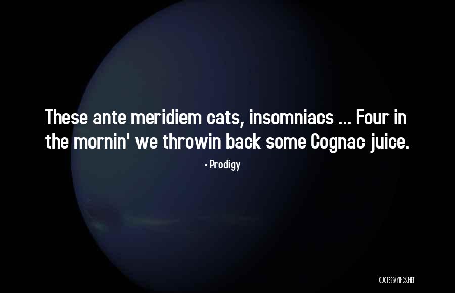 Preoccupare Quotes By Prodigy Preoccupare Quotes By Prodigy