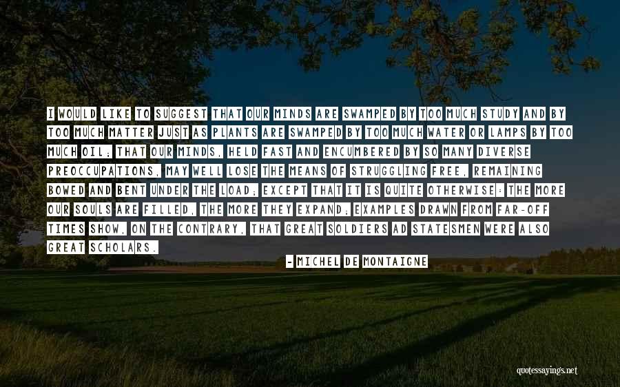 Preoccupations Quotes By Michel De Montaigne Preoccupations Quotes By Michel De Montaigne