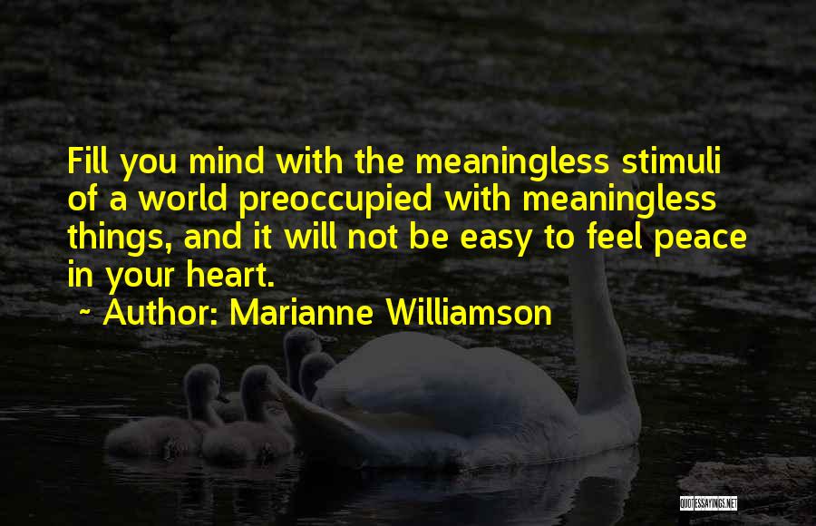 Preoccupied Mind Quotes By Marianne Williamson