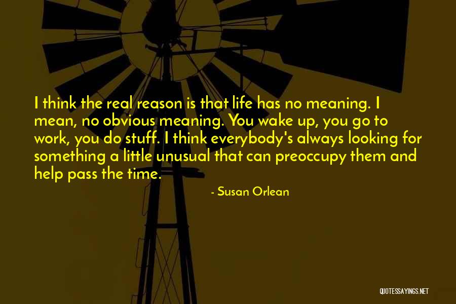 Preoccupy Quotes By Susan Orlean Preoccupy Quotes By Susan Orlean