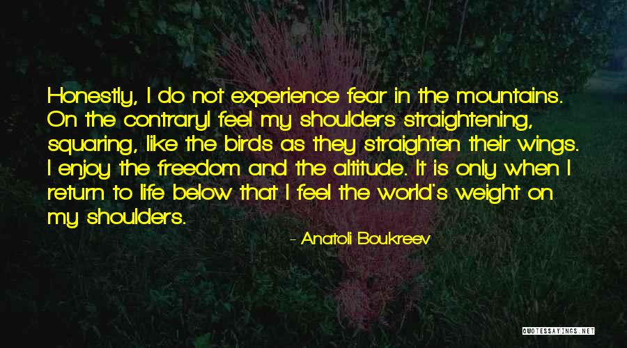 Prepar3d Demo Quotes By Anatoli Boukreev Prepar3d Demo Quotes By Anatoli Boukreev