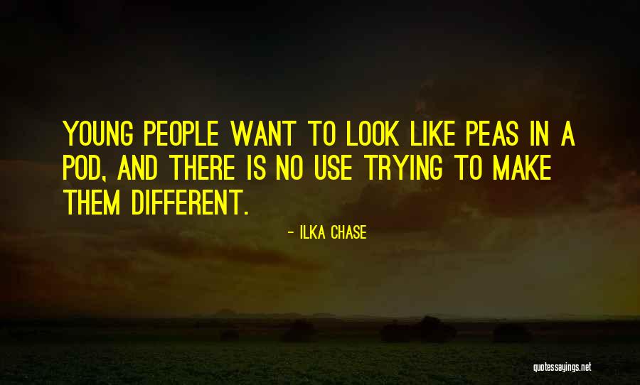 Preparation And Hard Work Quotes By Ilka Chase Preparation And Hard Work Quotes By Ilka Chase