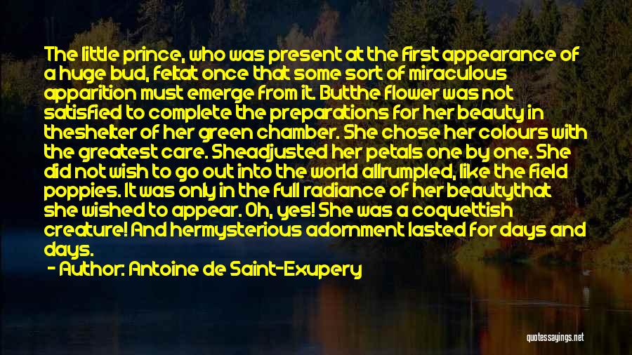 Preparations Quotes By Antoine De Saint-Exupery