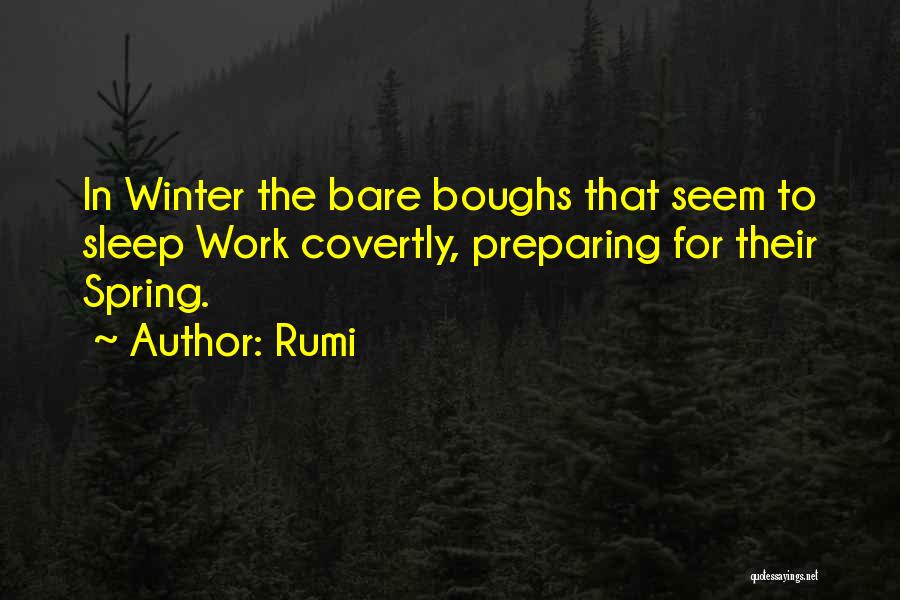 Preparing For Winter Quotes By Rumi