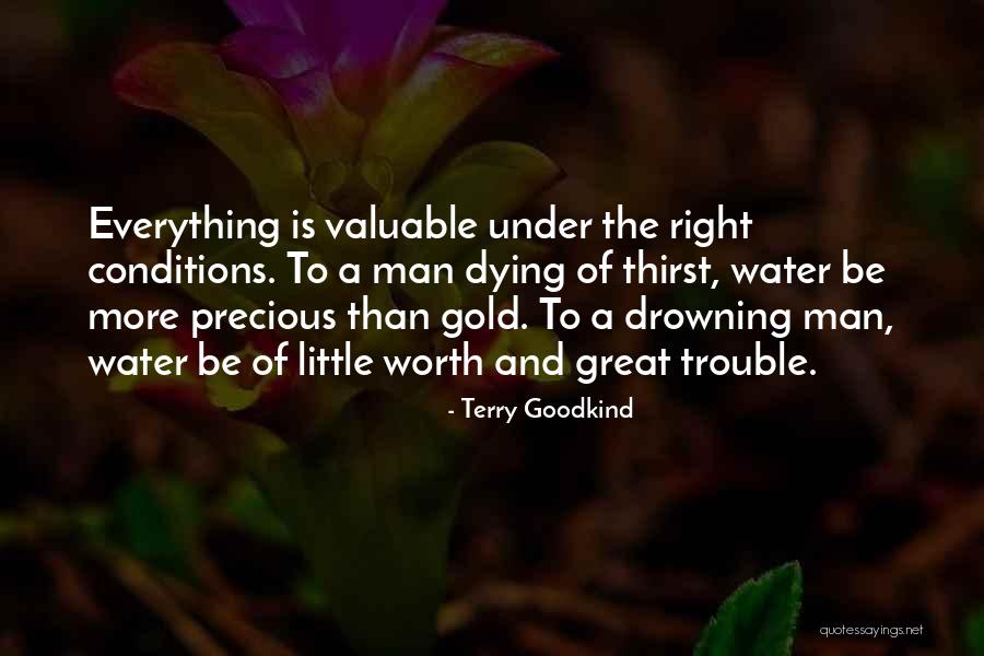 Prepossessed Quotes By Terry Goodkind Prepossessed Quotes By Terry Goodkind