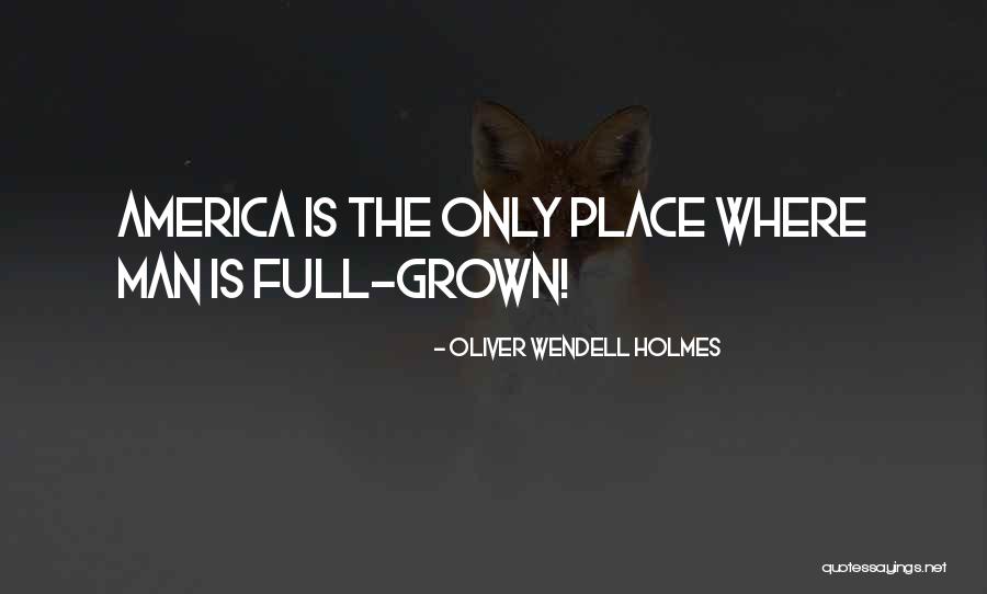 Presario Cq56 Quotes By Oliver Wendell Holmes Presario Cq56 Quotes By Oliver Wendell Holmes