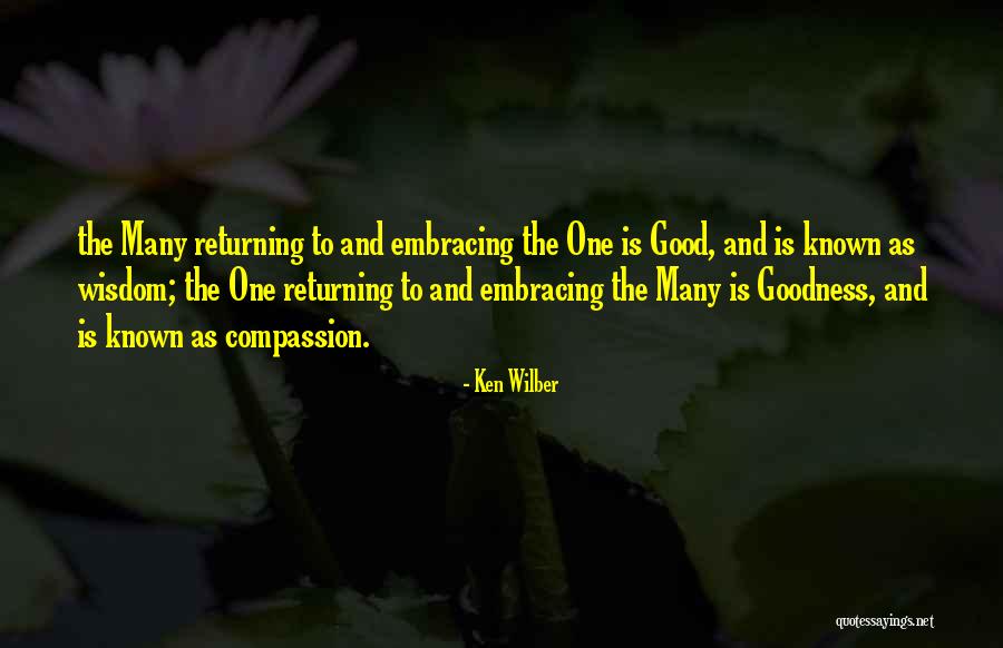 Presbyterian Inspirational Quotes By Ken Wilber Presbyterian Inspirational Quotes By Ken Wilber