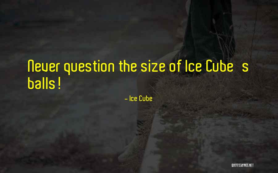 Preschimbare Permise Quotes By Ice Cube Preschimbare Permise Quotes By Ice Cube