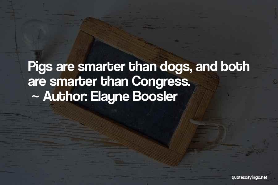 Presence For Innovation Quotes By Elayne Boosler