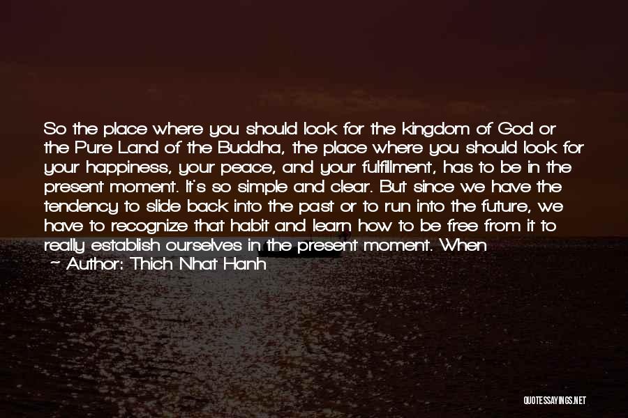 Present Happiness Quotes By Thich Nhat Hanh