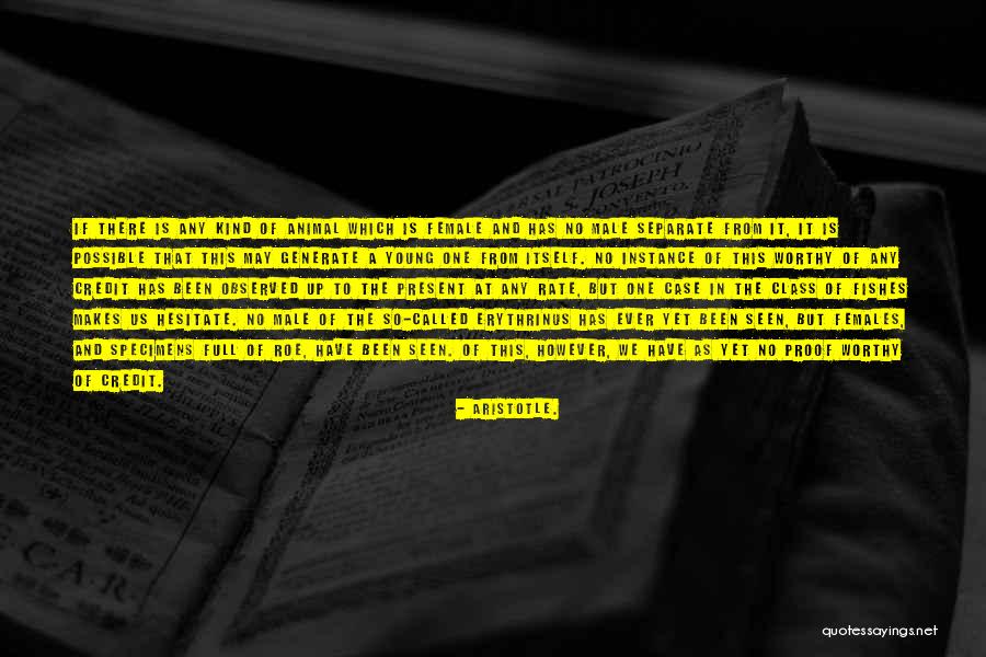 Present To The Class Quotes By Aristotle. Present To The Class Quotes By Aristotle.