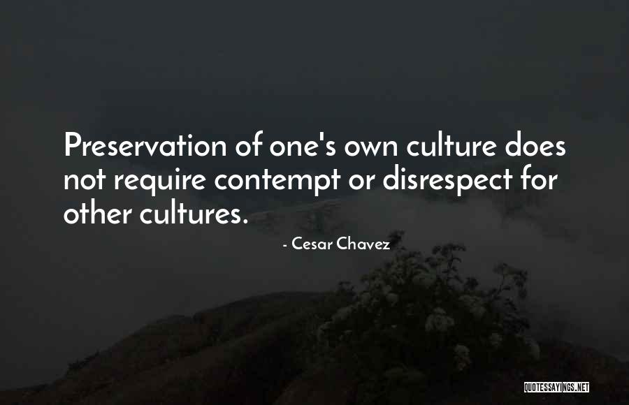 Preservation Of Culture Quotes By Cesar Chavez