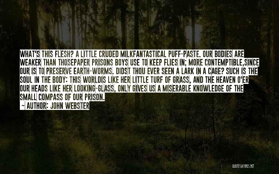 Preserve Our Earth Quotes By John Webster