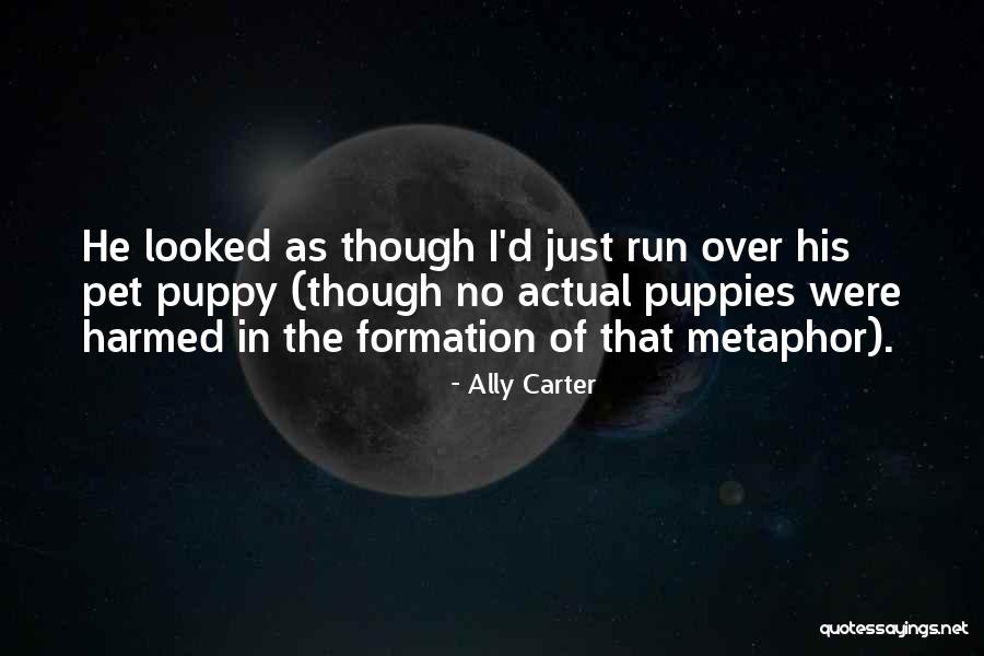 Preserving The Earth Quotes By Ally Carter Preserving The Earth Quotes By Ally Carter