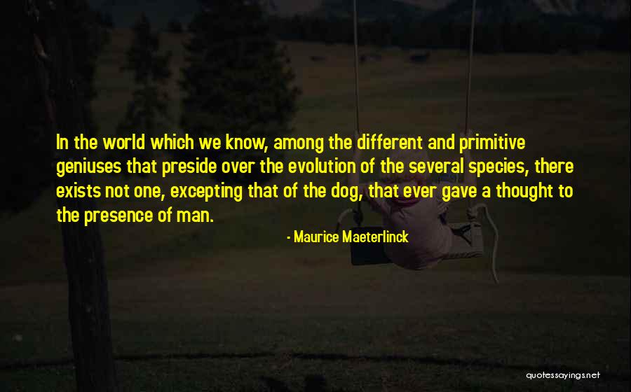 Preside Quotes By Maurice Maeterlinck Preside Quotes By Maurice Maeterlinck