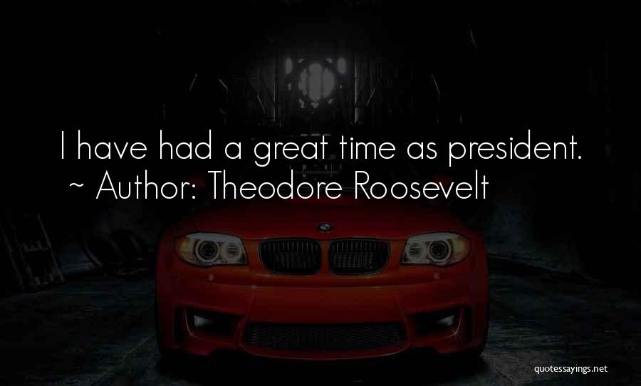 President Theodore Roosevelt Quotes By Theodore Roosevelt