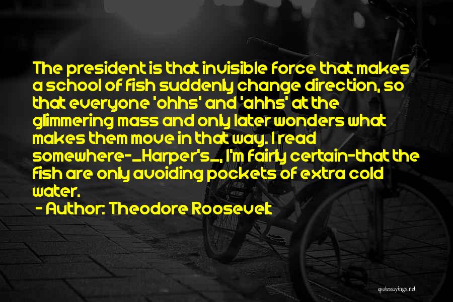 President Theodore Roosevelt Quotes By Theodore Roosevelt